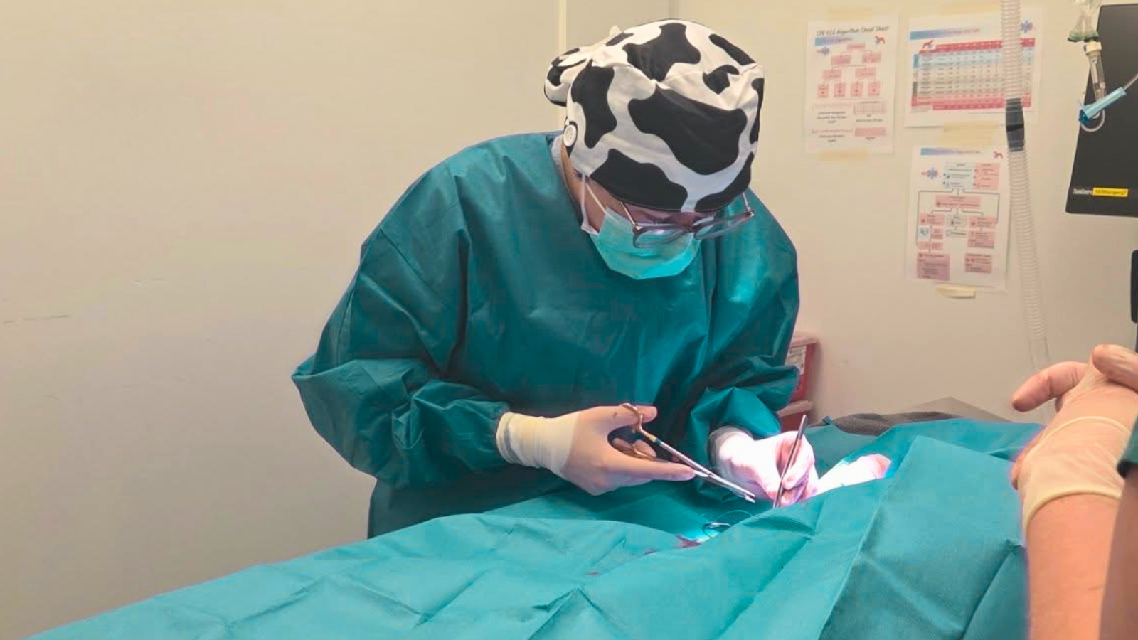 Veterinarian performing surgery on a patient.