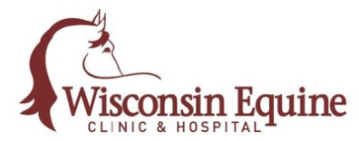 Wisconsin Equine Clinic & Hospital (WECH) Logo