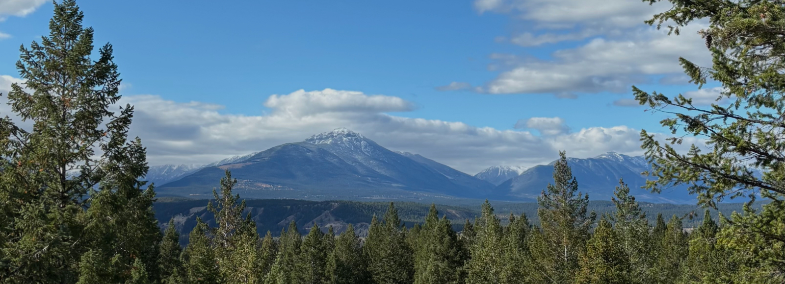 Darkened Image of Mountain & Trees