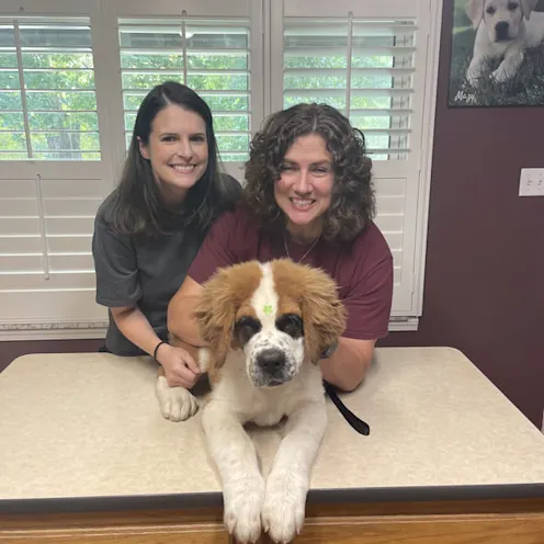 Staff with dog Staff with dog