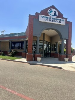 Animal Hospital of Lubbock - Hospital Exterior