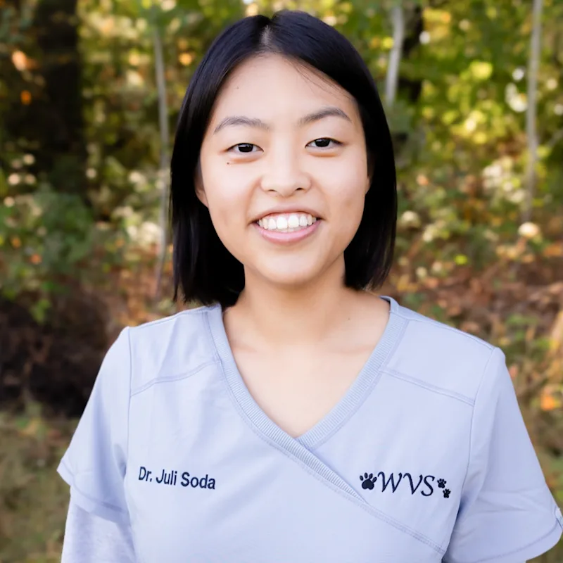 Dr. Juli Soda Dr. Juli Soda