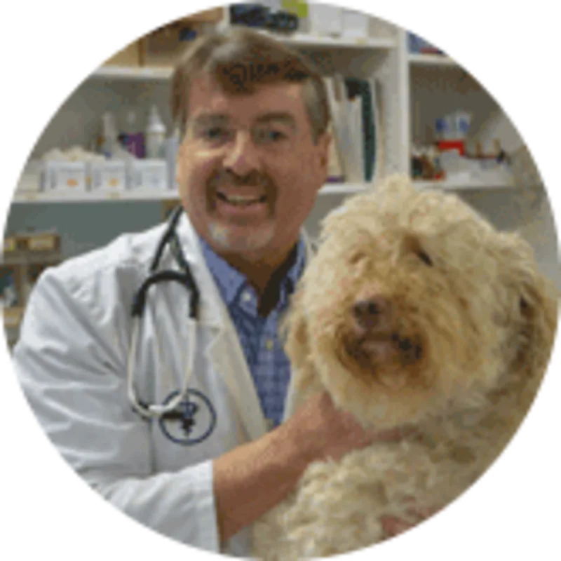 Dr. Muri Szabo Dr. Muri Szabo