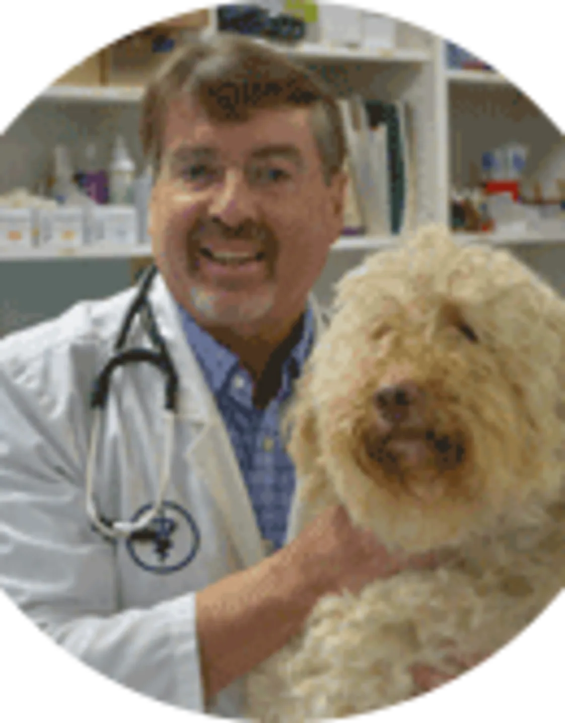 Dr. Muri Szabo Dr. Muri Szabo