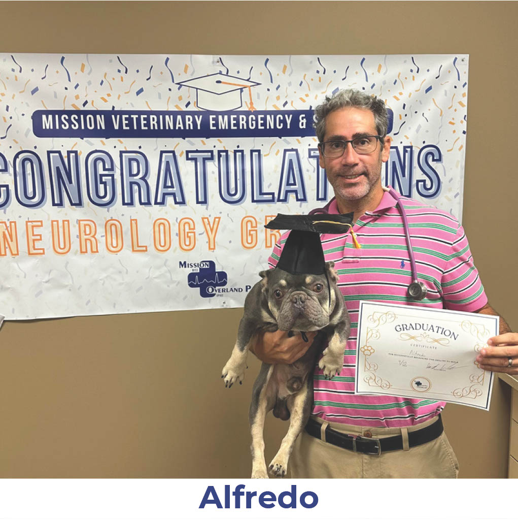 Alfredo the dog with Neurology Graduate Hall of Fame certificate