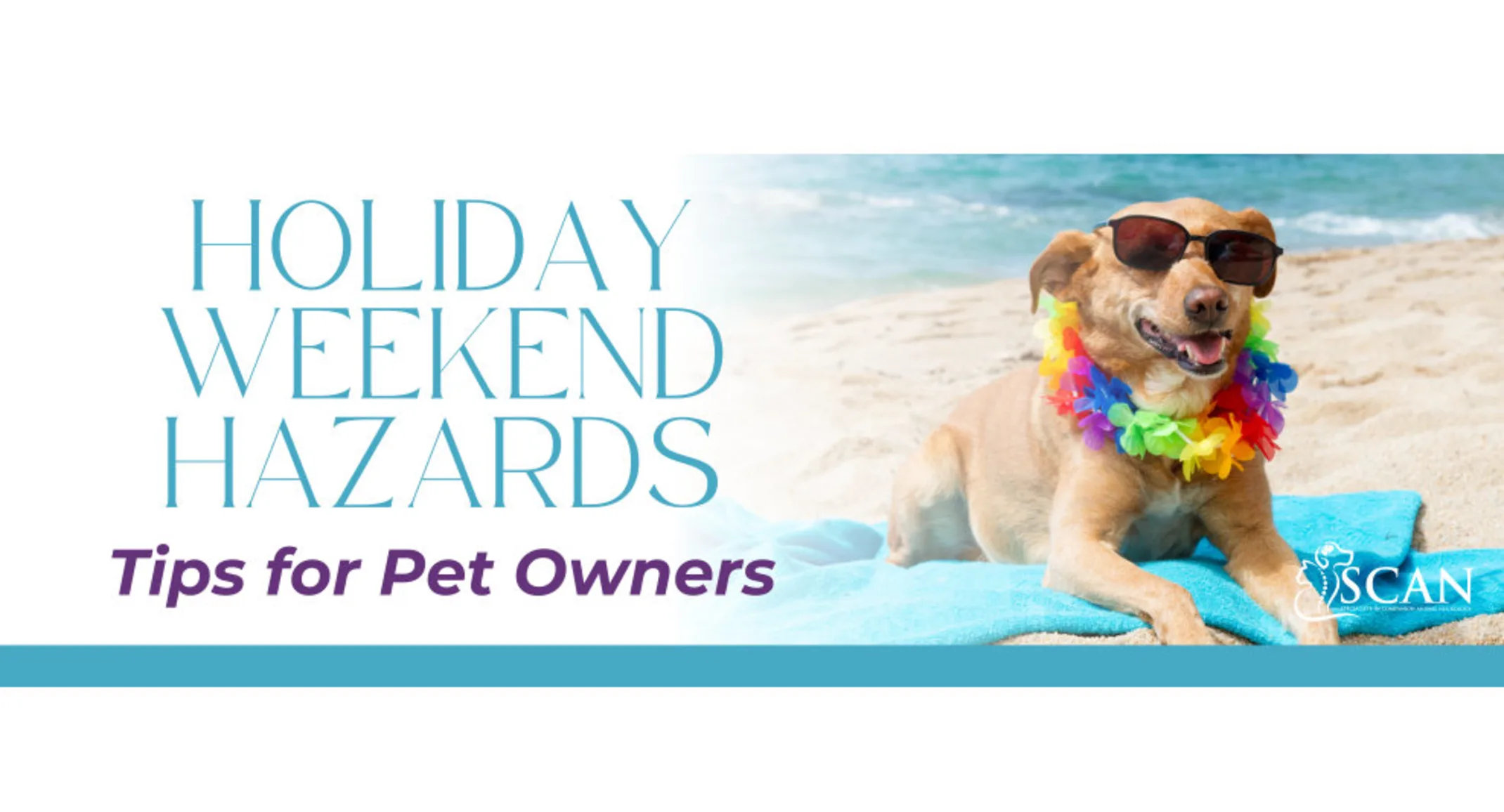 Article Banner: Holiday Weekend Hazards , dog on right wearing sunglasses on beach Article Banner: Holiday Weekend Hazards , dog on right wearing sunglasses on beach