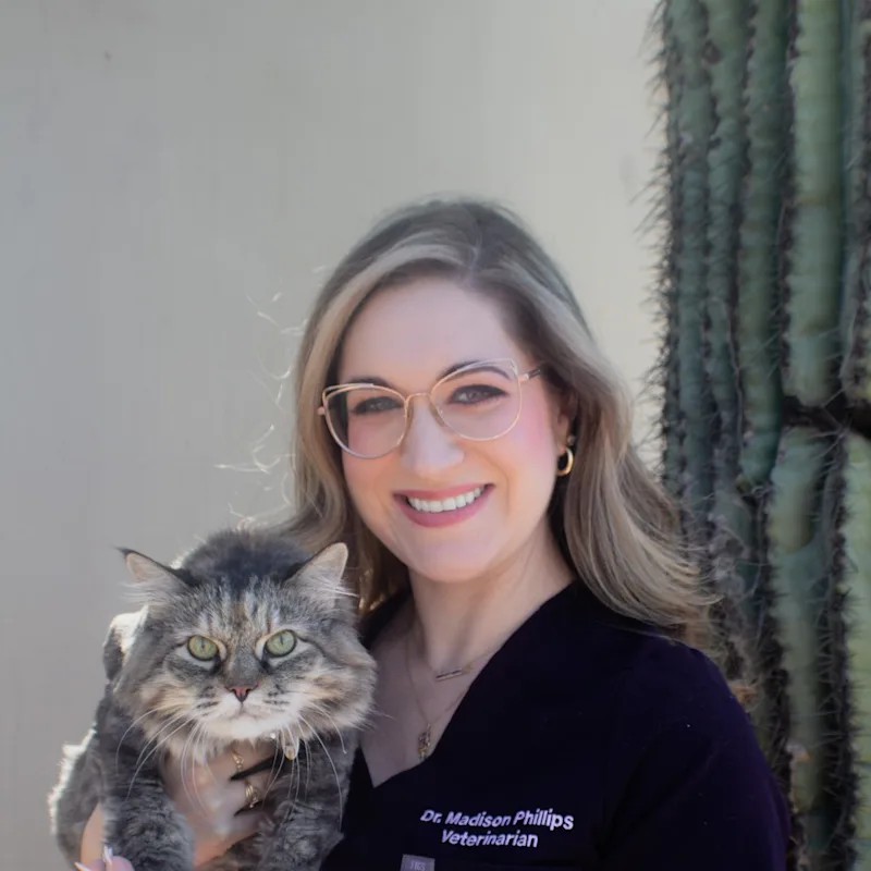 Dr. Madison Phillips Dr. Madison Phillips