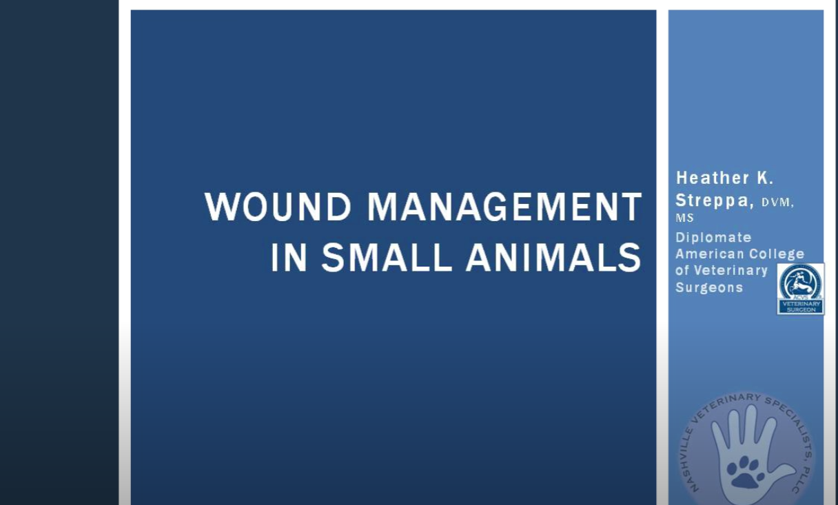 Surgery Videos Nashville Veterinary Specialists