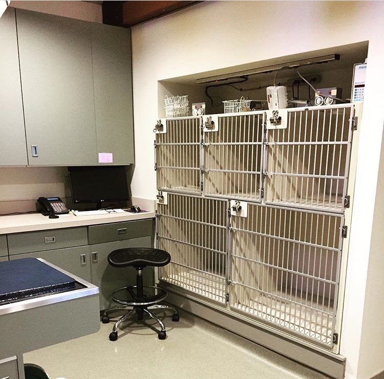 Post surgery recovery and hospitalization room