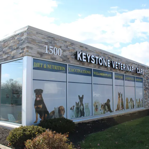 Keystone Veterinary Care building 