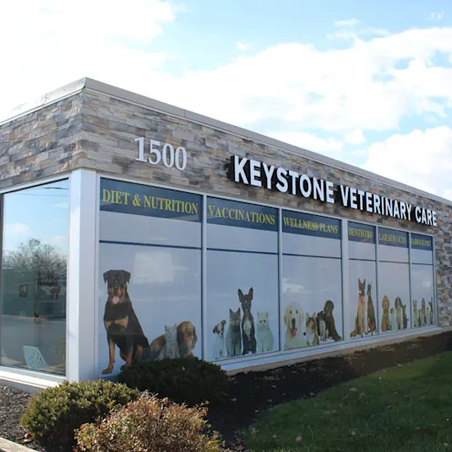Keystone Veterinary Care building Keystone Veterinary Care building