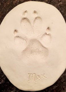 Natural Paw Impression