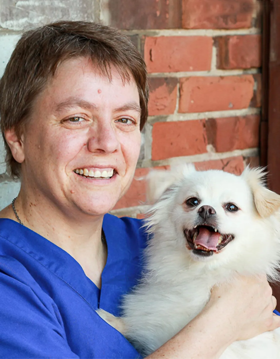 Tamzin at Blue Cross Animal Hospital Tamzin at Blue Cross Animal Hospital