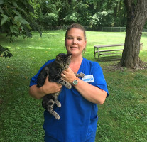 New Baltimore Animal Hospital Sallie