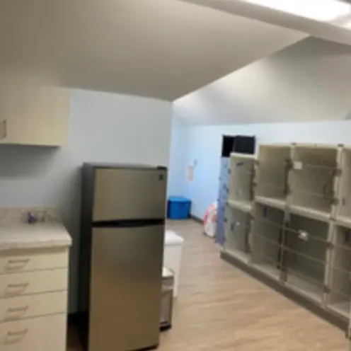 One of the exam rooms inside our hospital One of the exam rooms inside our hospital