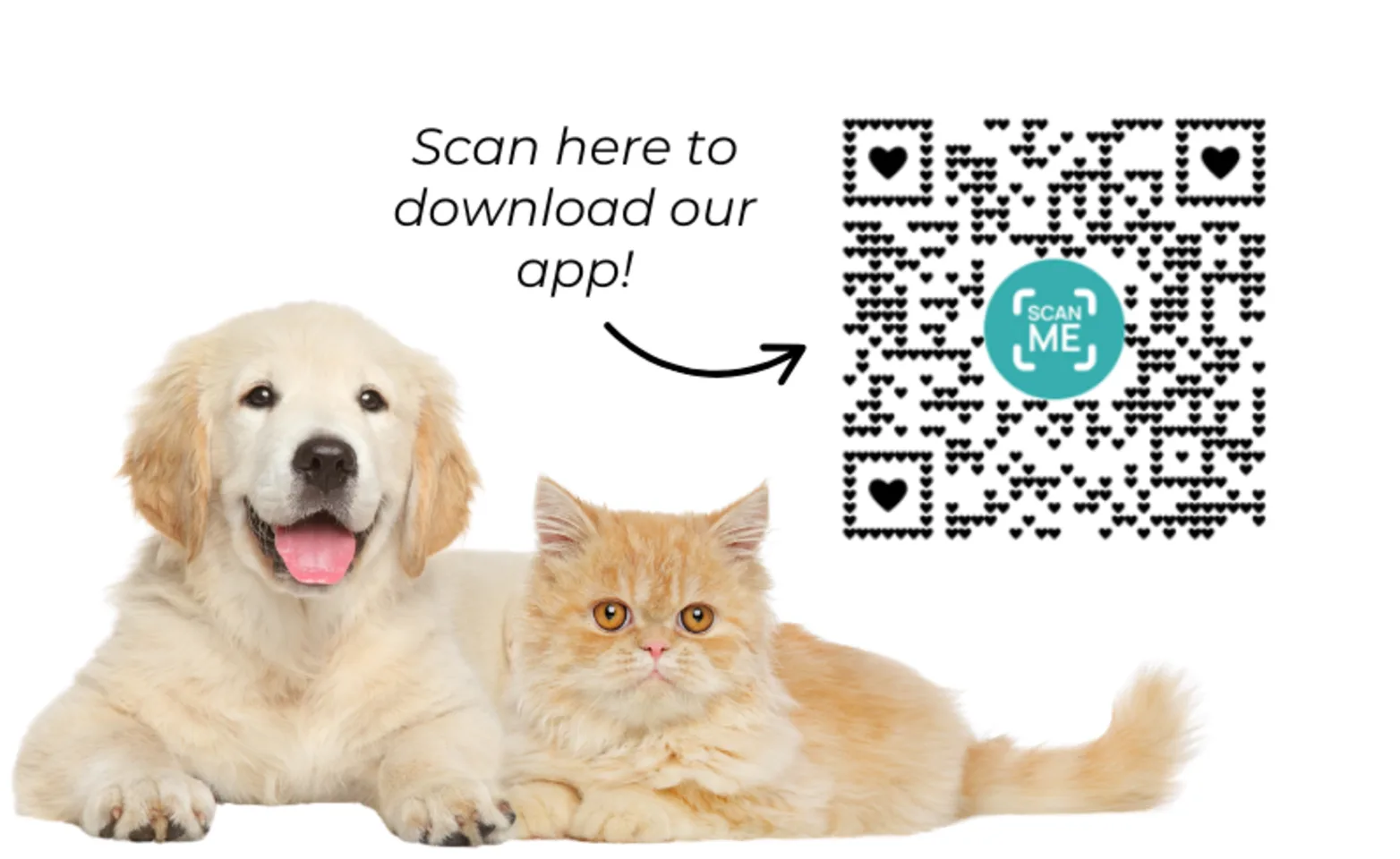 Download Our App (MyPetsWellness) Download Our App (MyPetsWellness)