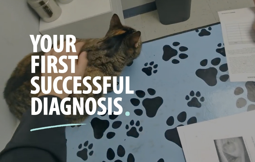 Your First Successful Diagnosis