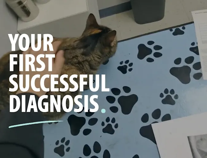 Your First Successful Diagnosis Your First Successful Diagnosis