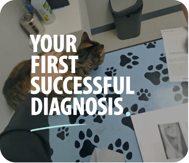 Your First Successful Diagnosis