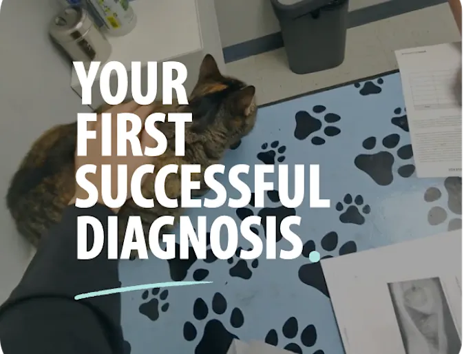 Your First Successful Diagnosis Your First Successful Diagnosis