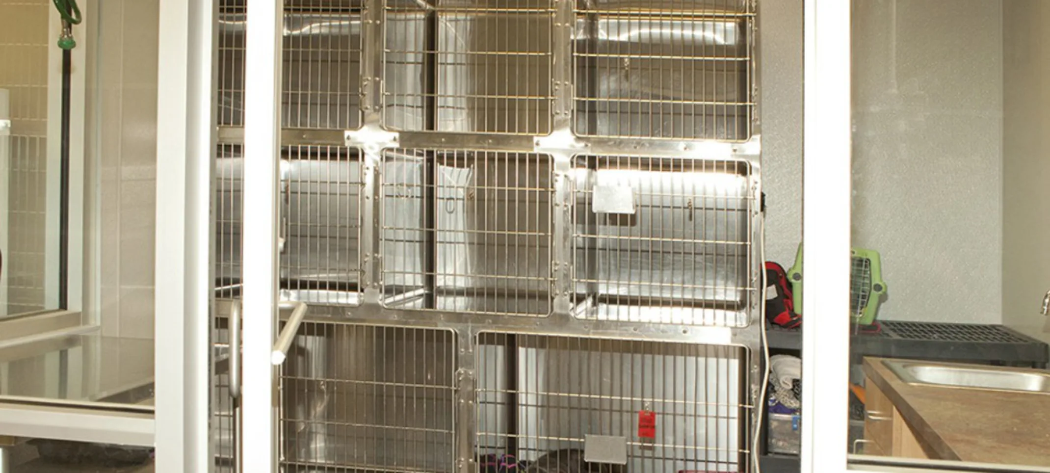 Kitty Ward Kitty Ward