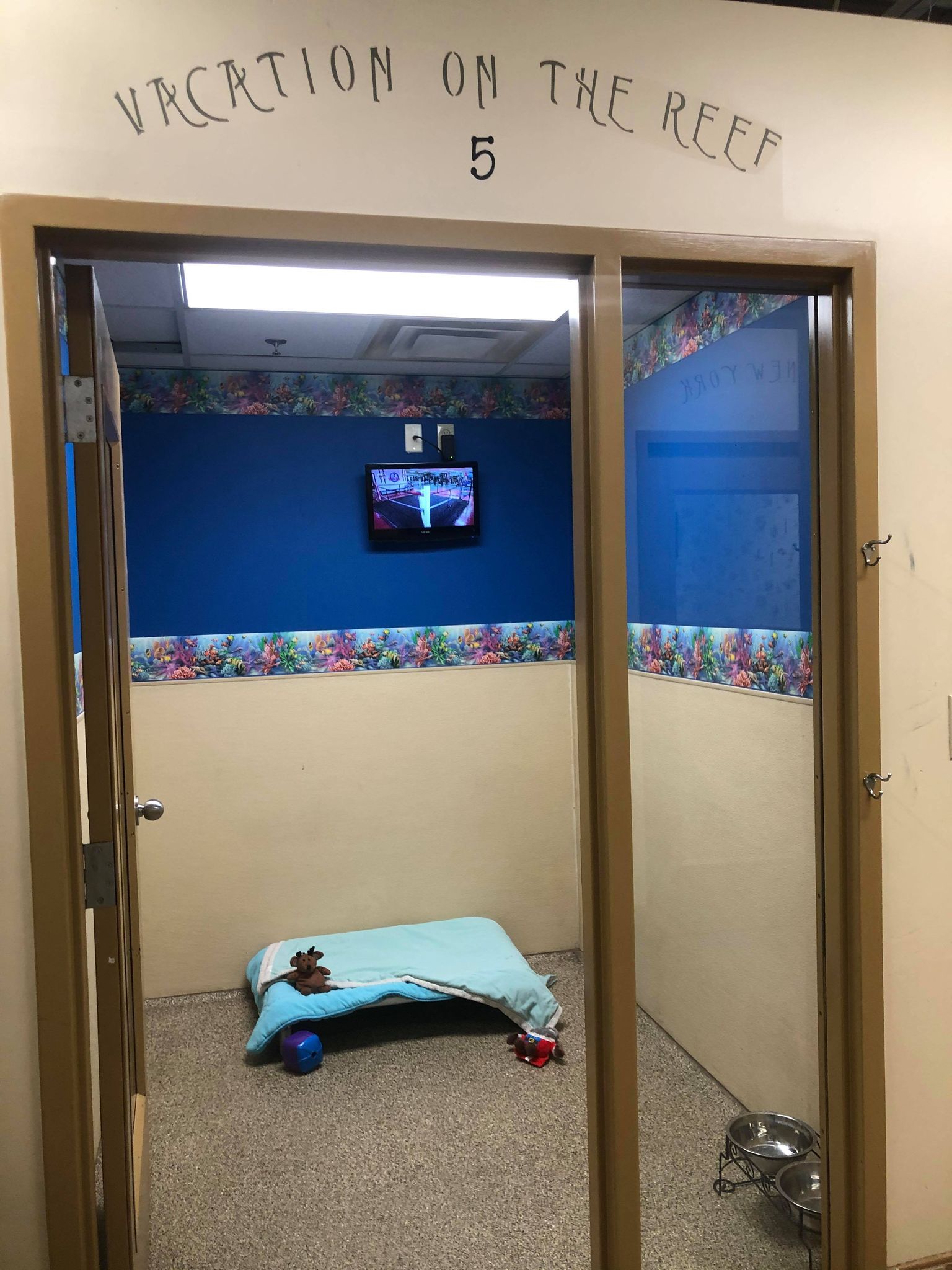 Vacation on the Reef 5