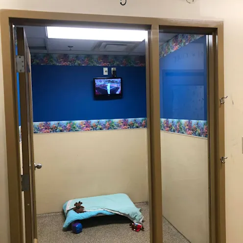 Vacation on the Reef 5 Vacation on the Reef 5