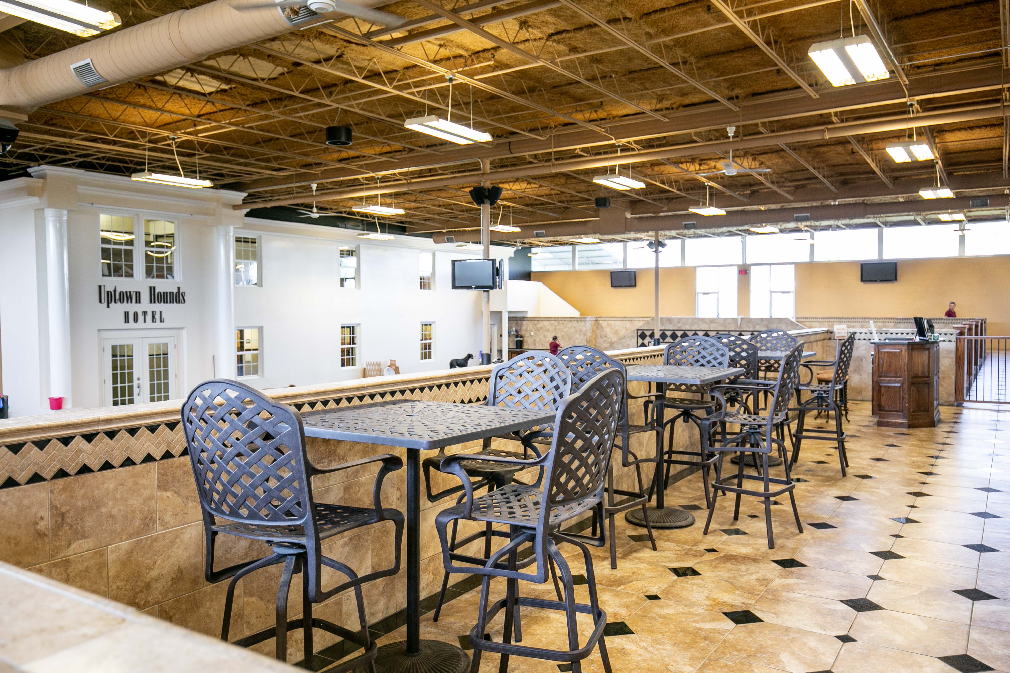 Uptown Hounds sitting area which consists of nicely placed chairs and tables. Here you can watch your pups from above while they play. 