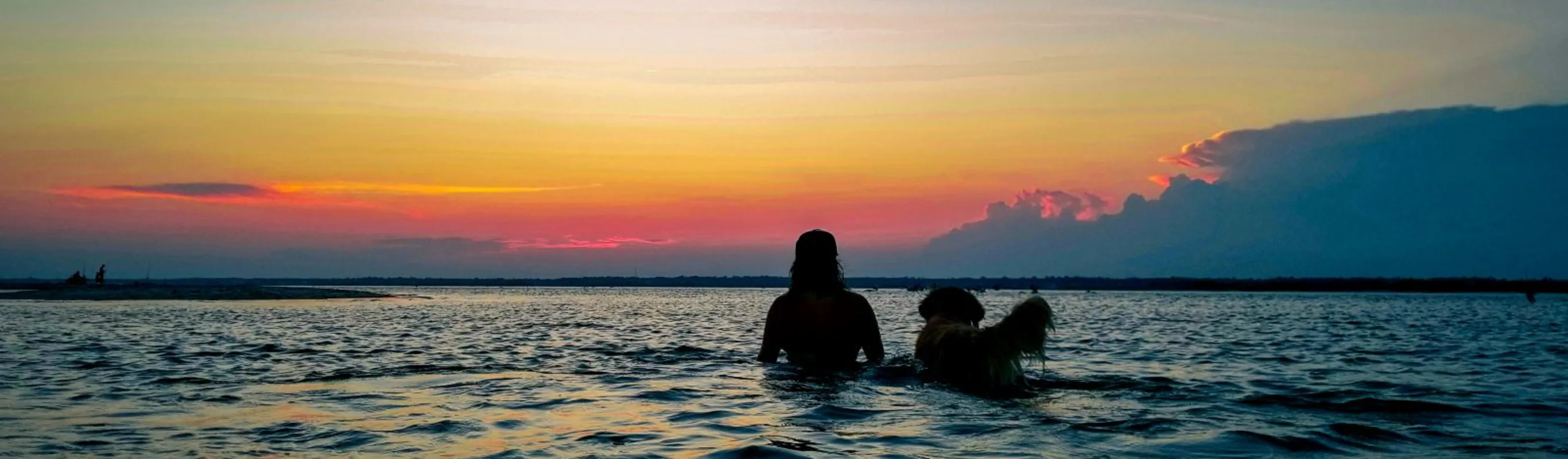 Golden retriever and owner staring at sunset Golden retriever and owner staring at sunset
