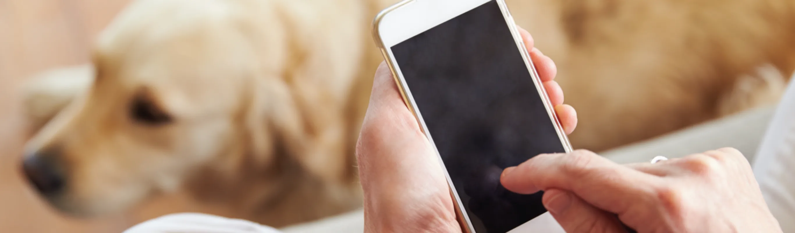On phone with dog sitting on the ground On phone with dog sitting on the ground