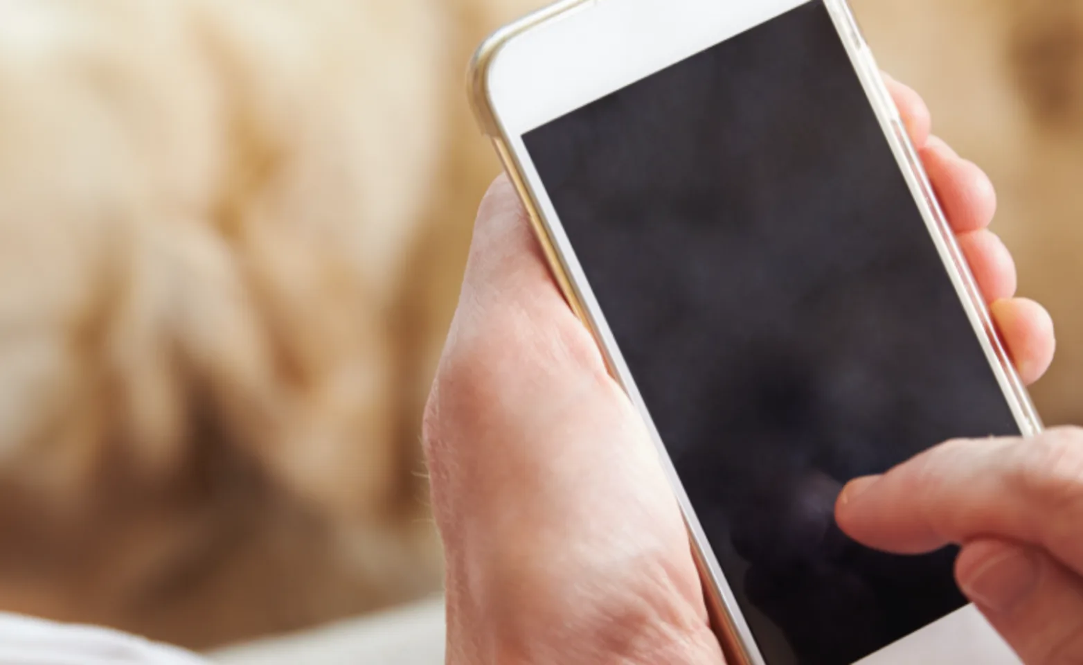 On phone with dog sitting on the ground On phone with dog sitting on the ground