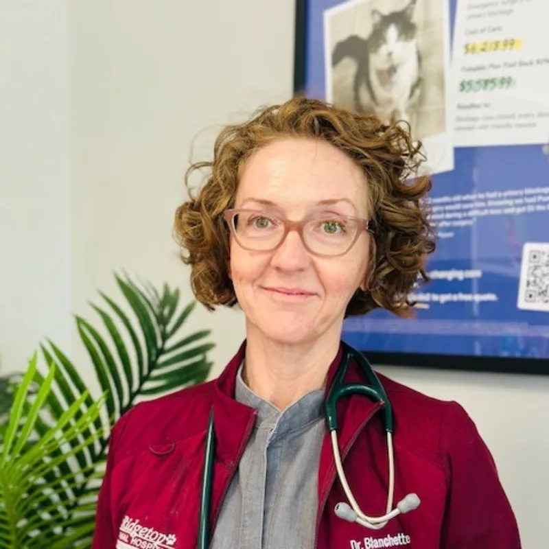 Dr. Jackie Blanchette Dr. Jackie Blanchette