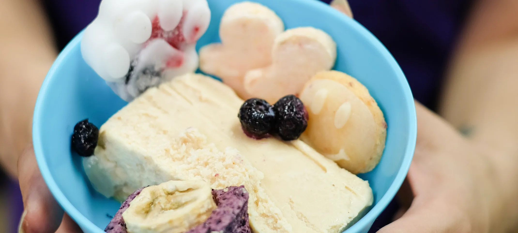 Staff member holding a bowl filled with special dog treats and ice cream and berries Staff member holding a bowl filled with special dog treats and ice cream and berries