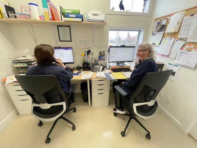 Our Staff Working Hard