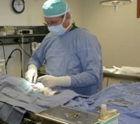 Soft Tissue Surgery Soft Tissue Surgery