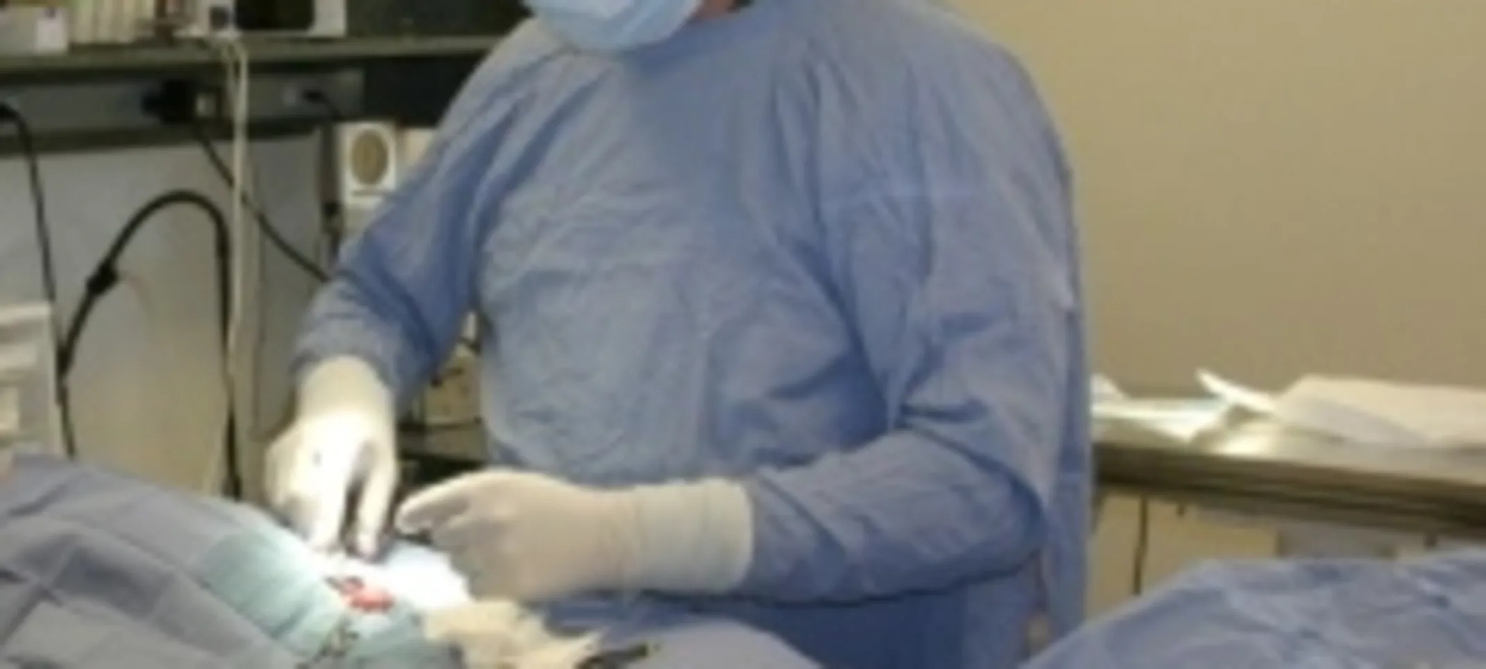 Soft Tissue Surgery Soft Tissue Surgery