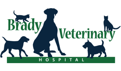 Brady Veterinary Hospital - Header Logo