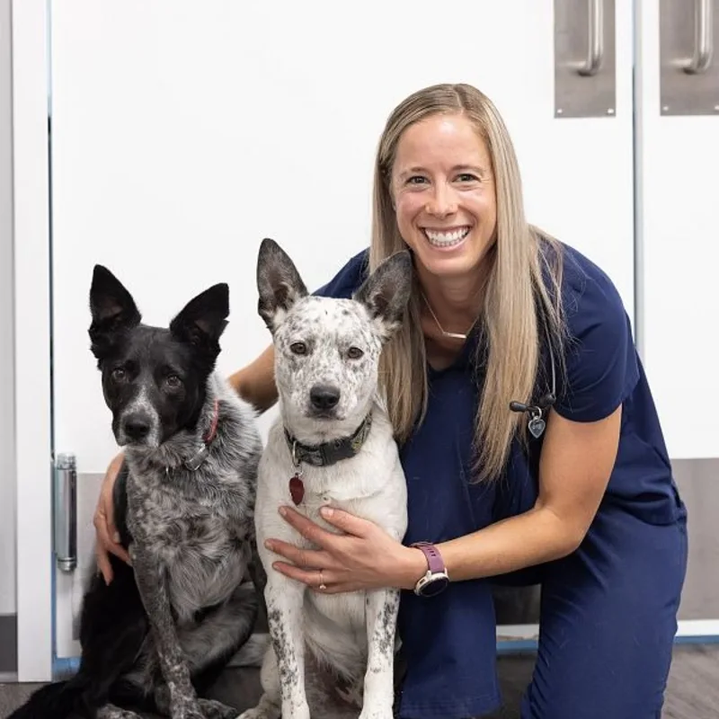Dr. Katie Bennett smiling while holding onto two dogs. Dr. Katie Bennett smiling while holding onto two dogs.