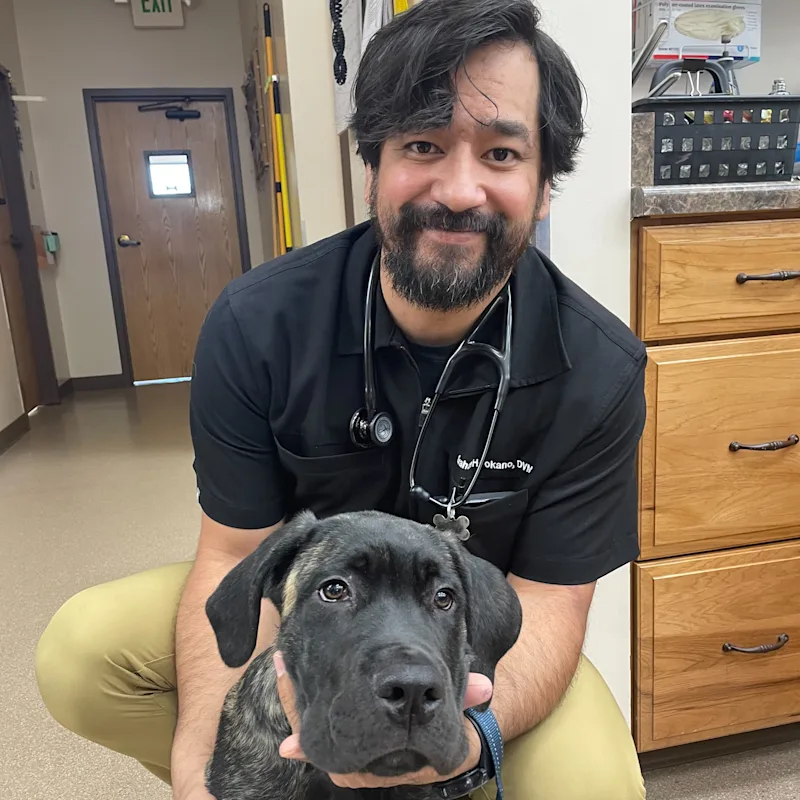 Dr. Graham Hookano Dr. Graham Hookano