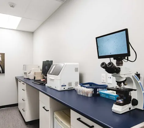 Laboratory Laboratory