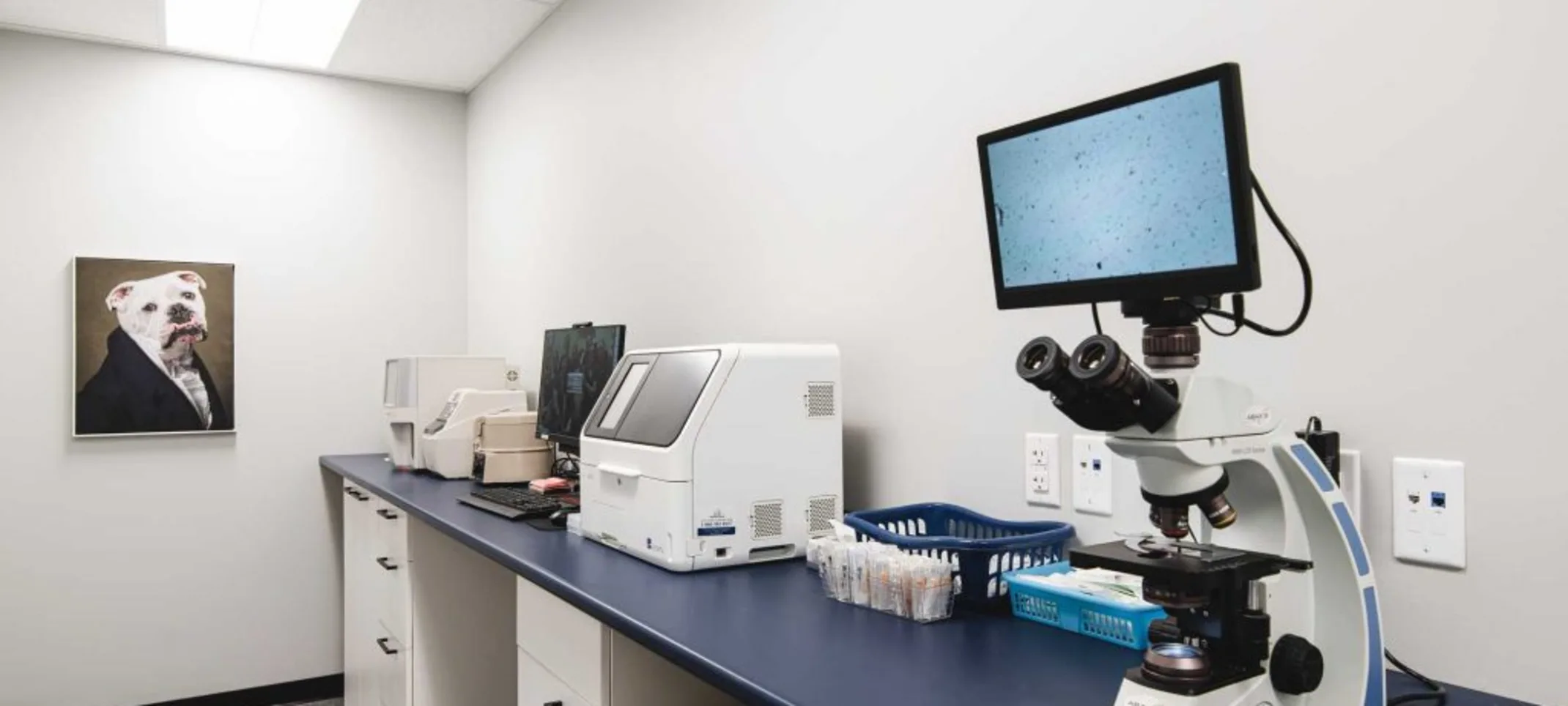 Laboratory Laboratory