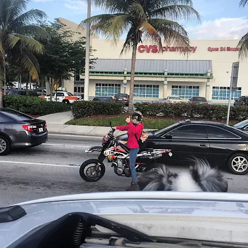 Trainer and dog on a motorcycle Trainer and dog on a motorcycle