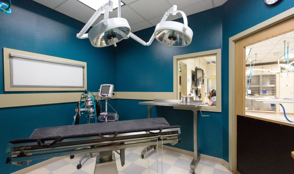 Kitsap Veterinary Hospital Surgical Suite.