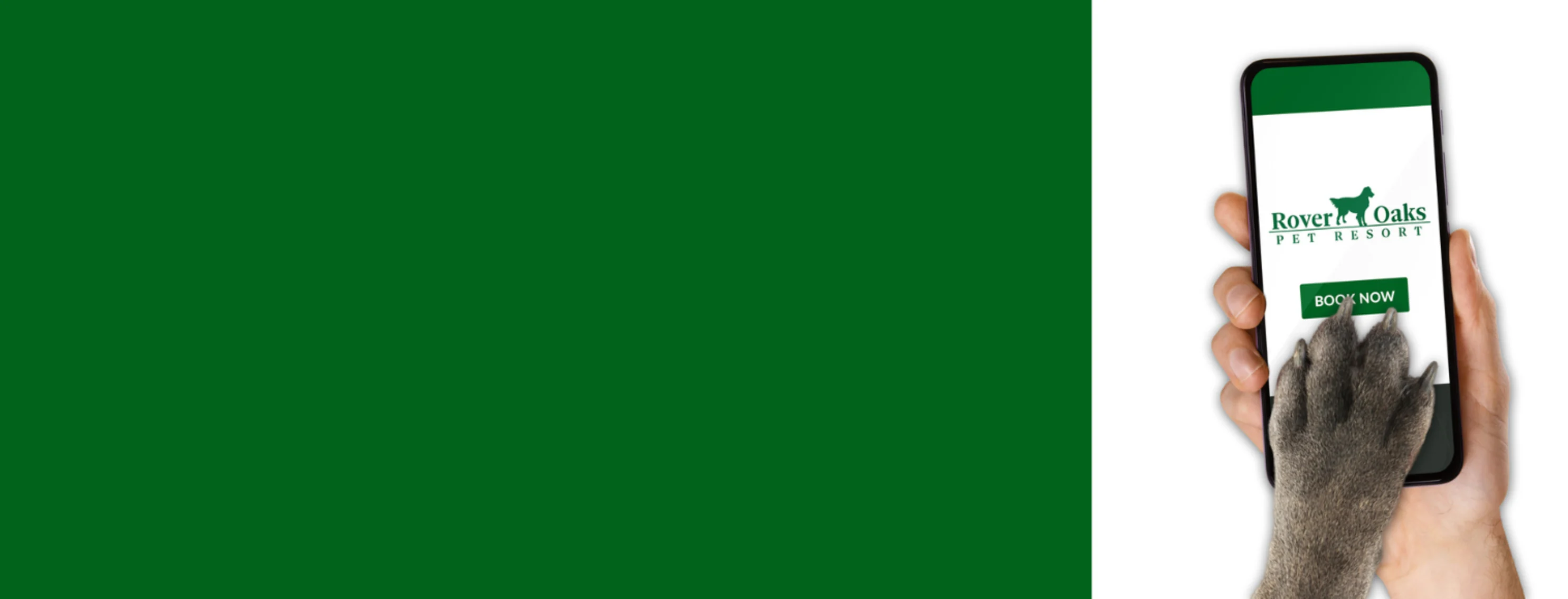 Smart phone showing mobile app being controlled by dog paw. Smart phone showing mobile app being controlled by dog paw.