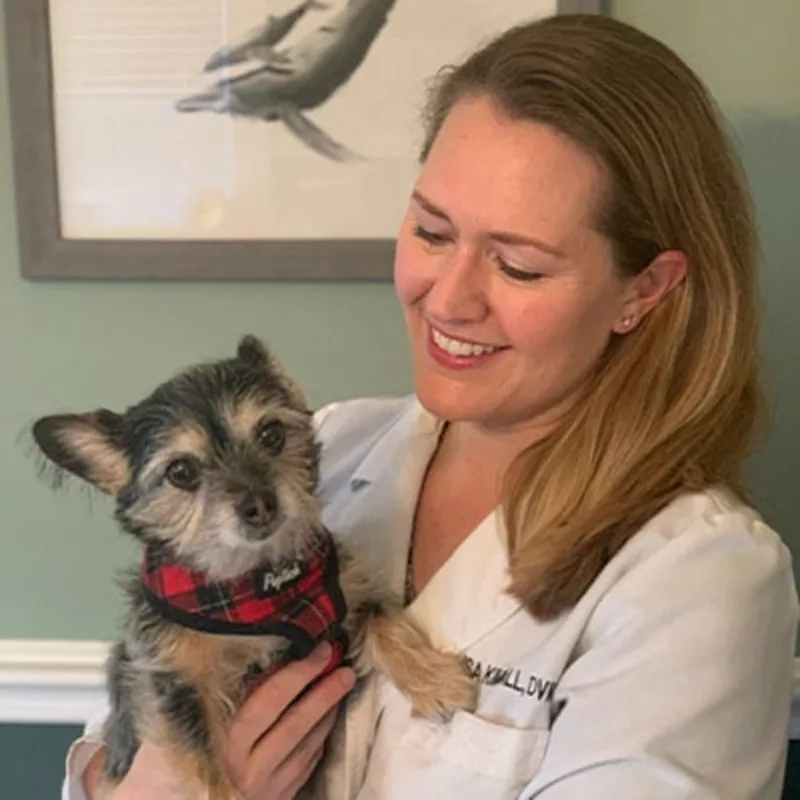 Dr. Lisa Kimball Dr. Lisa Kimball