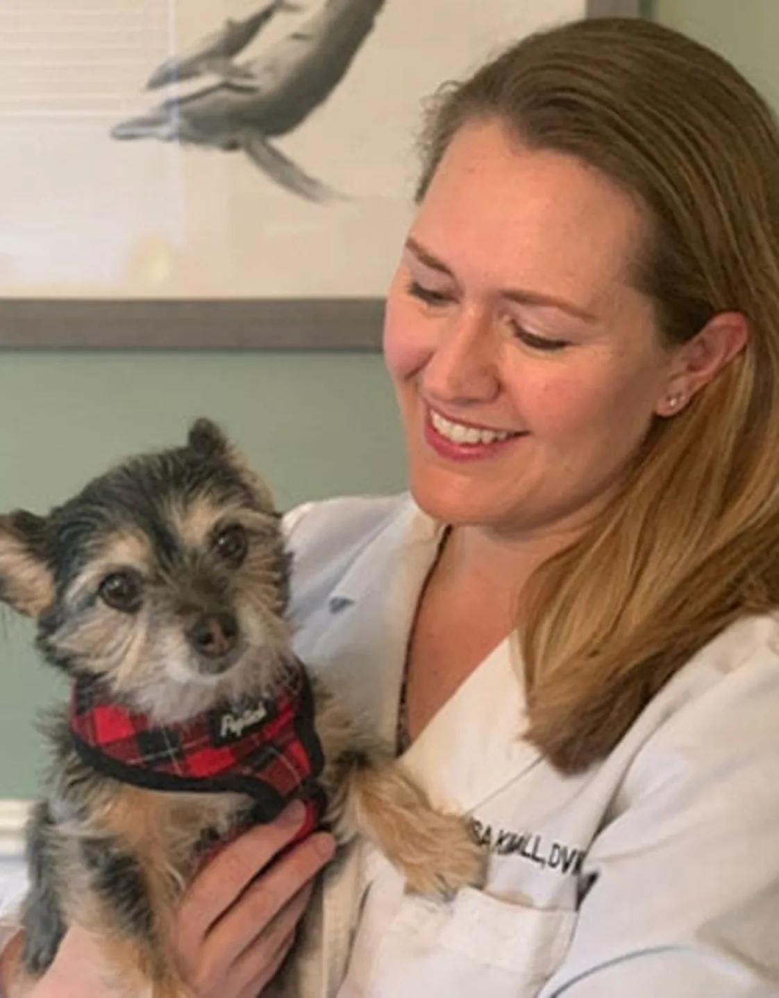 Dr. Lisa Kimball Dr. Lisa Kimball