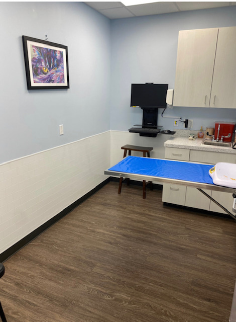 A testing room inside of our hospital