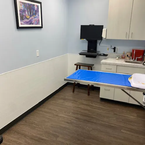 A testing room inside of our hospital A testing room inside of our hospital