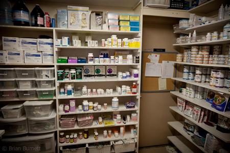 Northgate Pet Clinic & Veterinary Dentistry Pharmacy