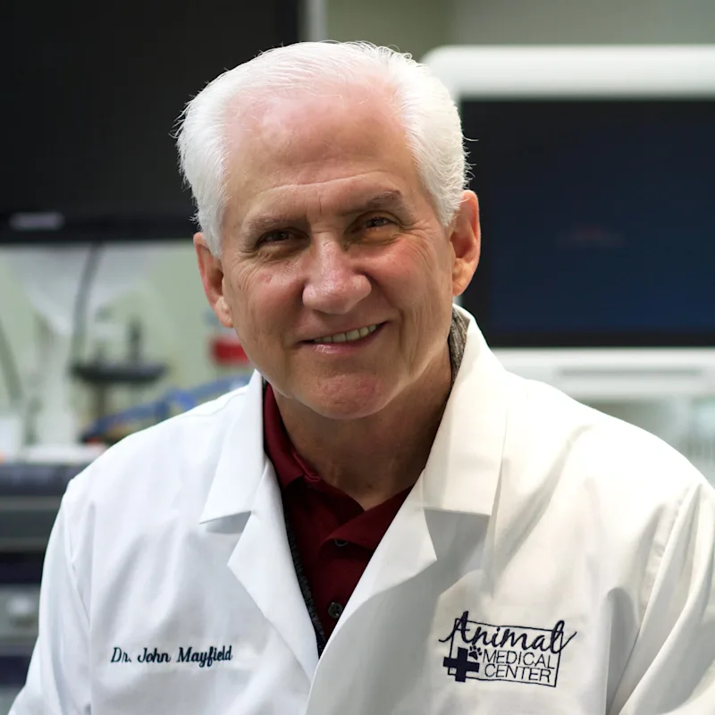 Dr. John Mayfield Jr. Dr. John Mayfield Jr.